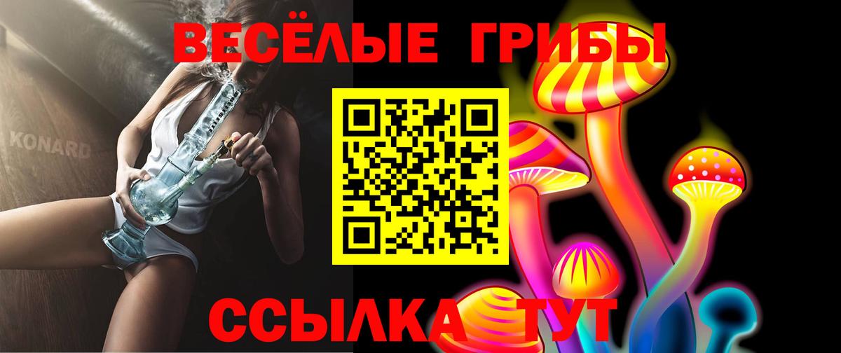 Прокопьевск  Псилоцибиновые грибы ЛСД  Вход с VPN 